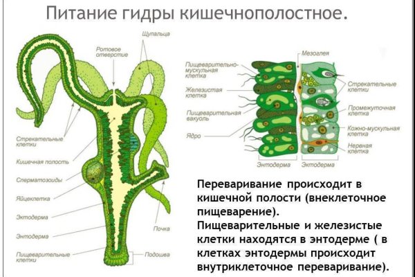 Кракен маркетплейс vk2 top